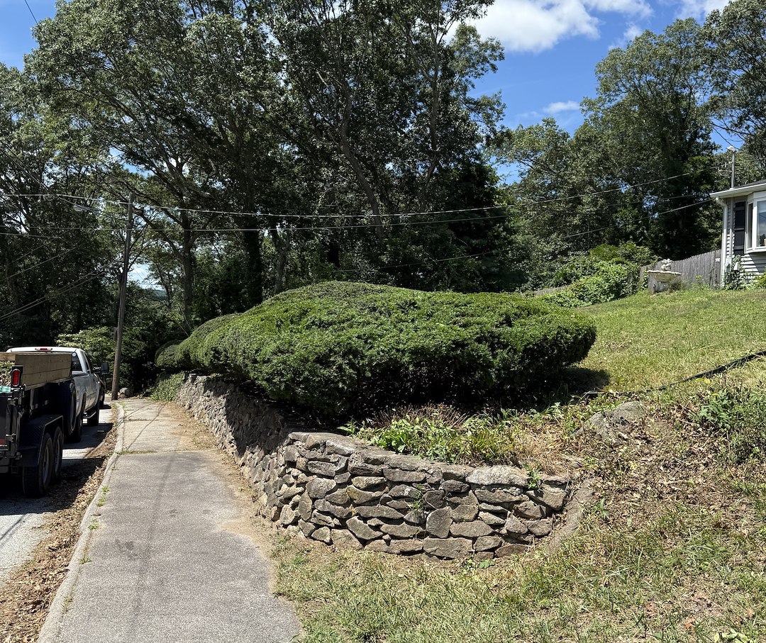 Overgrown Hedge Pruning/Trimming & Weeding in Coventry, RI Thumbnail